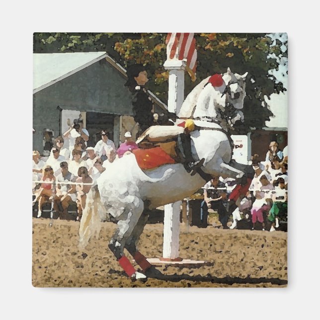 Lippizan horse magnet (Front)