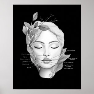 Lips Anatomy Lip Filler Injector Poster