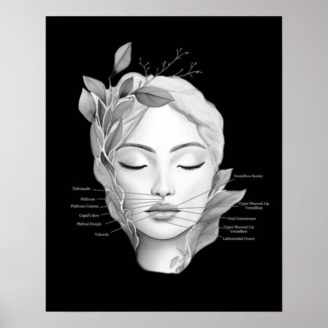 Lips Anatomy Lip Filler Injector Poster (Front)