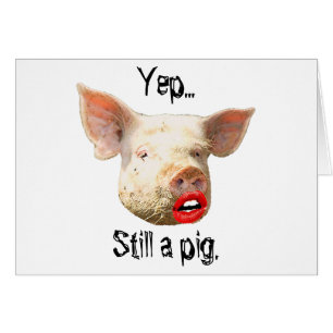 Lipstick on a Pig