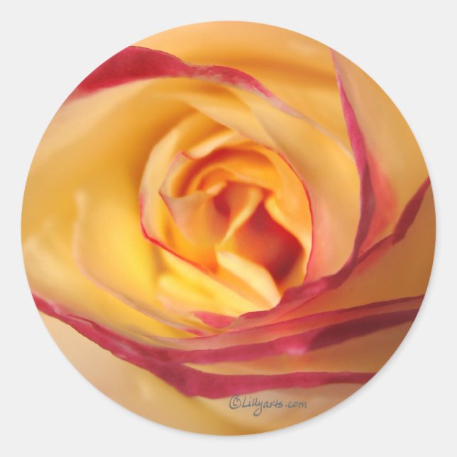 Lipstick Sunshine Rose Envelope Seal (Front)