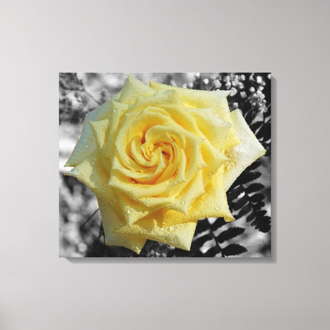 Liquid Diamonds Canvas Print (Front)