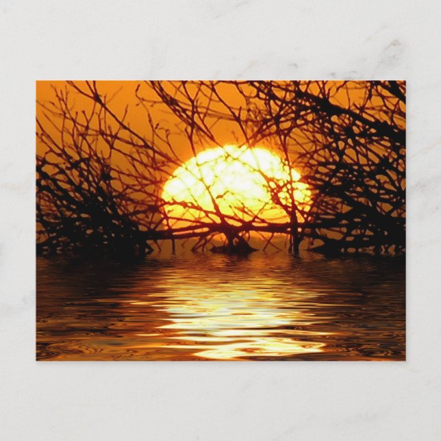 Liquid Sunset Postcard (Front)
