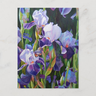 Lisa's Iris Garden Postcard