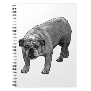 List & Light Journal