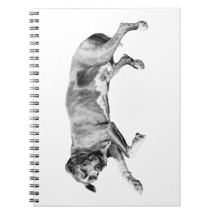 List Making by a Sleeping Dog Notebook