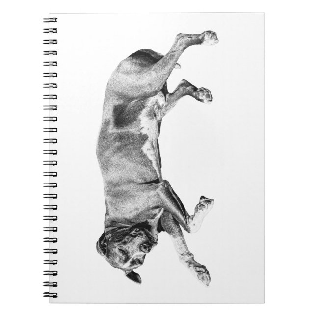 List Making by a Sleeping Dog Notebook (Front)