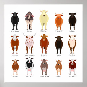 List of cows poster