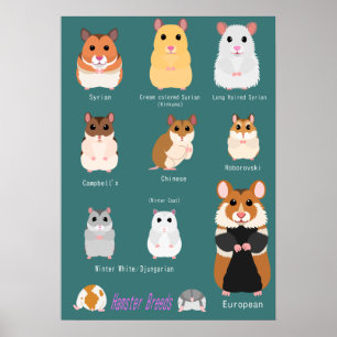 List of hamsters poster