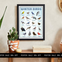 list of USA Winter birds