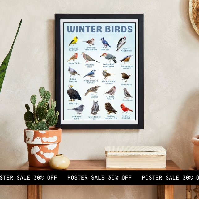 list of USA Winter birds  Poster (Creator Uploaded)