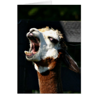 Listen to me!