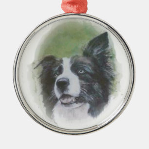 Listening Border Collie Ornament