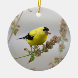 Listening Goldfinch Ceramic Tree Decoration