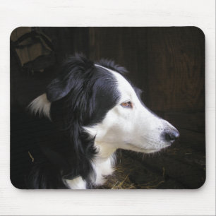 Listening Mouse Mat