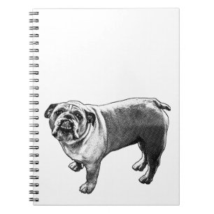 Lists Beside a Buddy Notebook