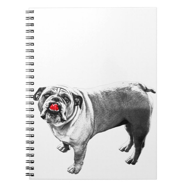 Lists Beside Red Cheer Notebook (Front)