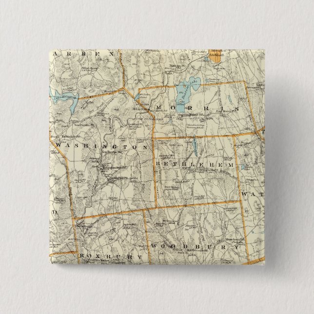 Litchfield Co S 15 Cm Square Badge (Front)