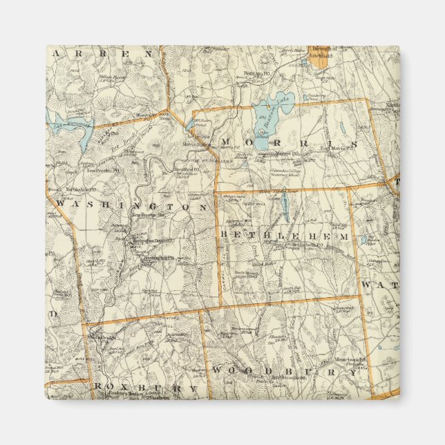 Litchfield Co S Magnet (Front)