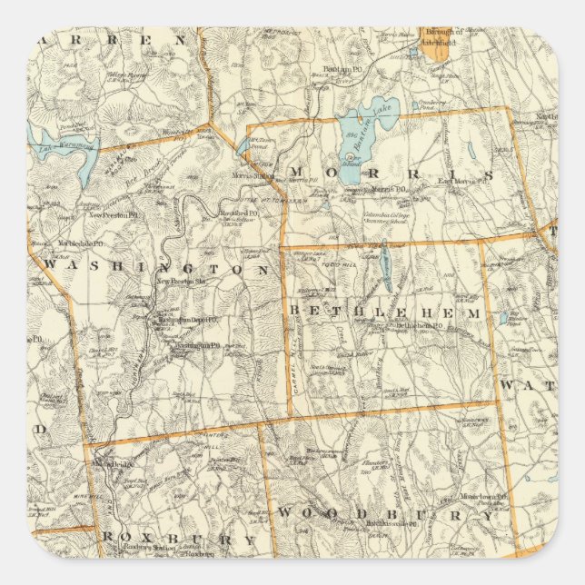 Litchfield Co S Square Sticker (Front)