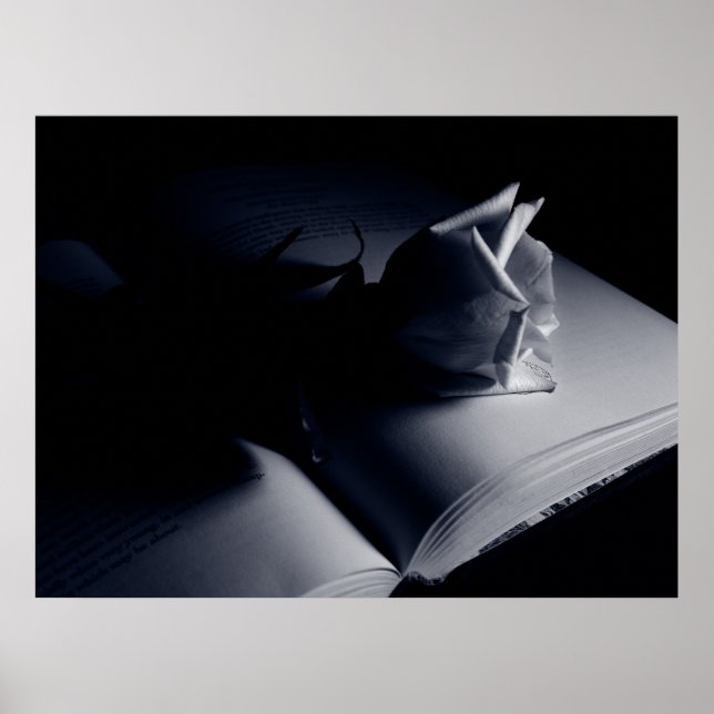 Literary Rose Poster (Front)