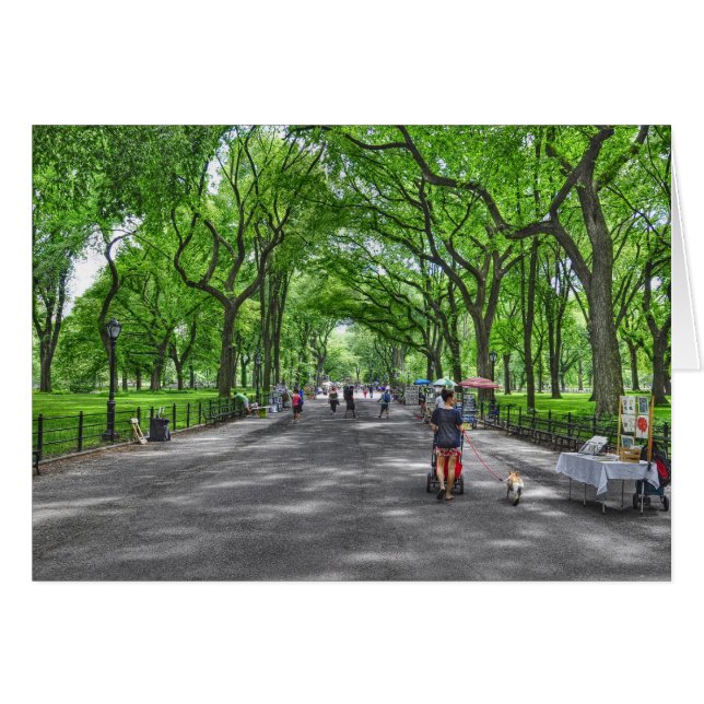 Literary Walk- Central Park, New York (Front Horizontal)