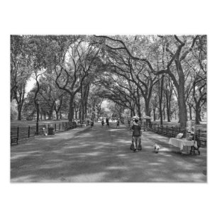 Literary Walk- Central Park, New York Photo Print