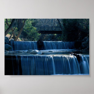 Lithia Park Island, Oregon Poster