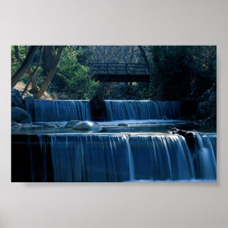 Lithia Park Island, Oregon Poster