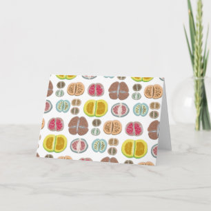 Lithops - transparent card