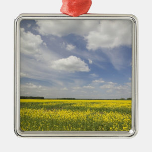Lithuania, Central Lithuania, Joniskis, field of Metal Tree Decoration