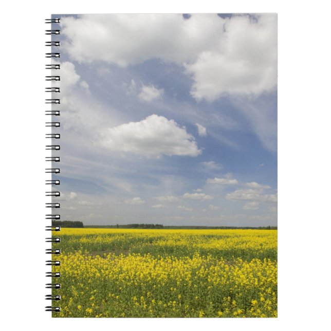 Lithuania, Central Lithuania, Joniskis, field of Notebook (Front)