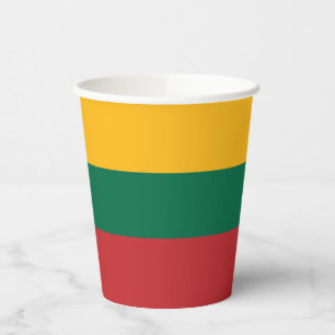Lithuania flag paper cups