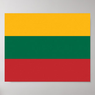Lithuania Flag Poster