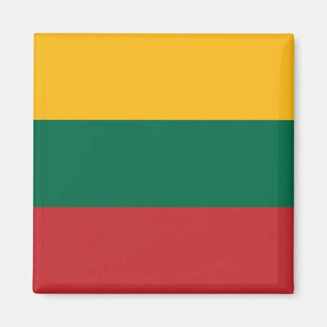Lithuania (Lithuanian) Flag Magnet (Front)