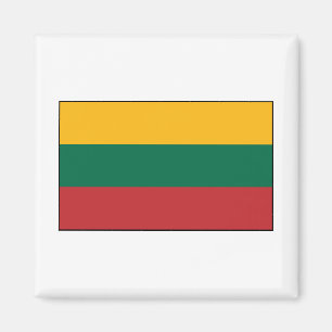 Lithuania  - Lithuanian Flag Magnet