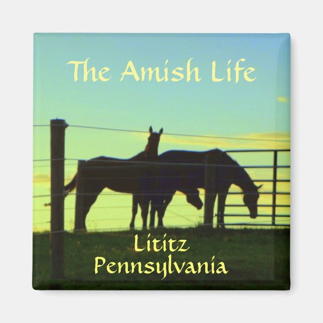 Lititz! Amish Horses at Sunset. Magnet (Front)