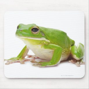 Litora Infrafrenata, Frog Mouse Mat