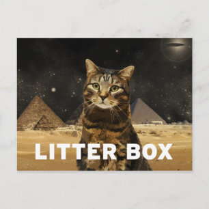 Litter Box Postcard