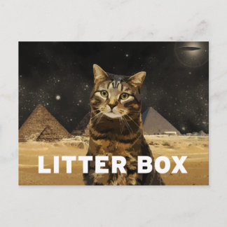 Litter Box Postcard