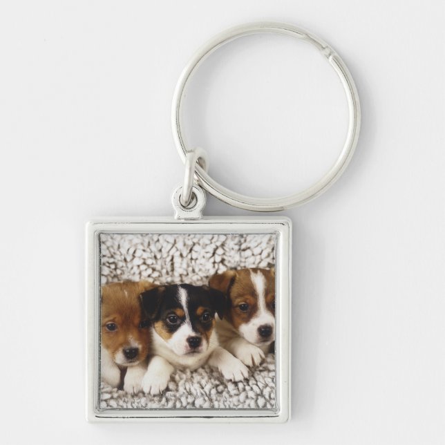 Litter of puppies key ring (Front)