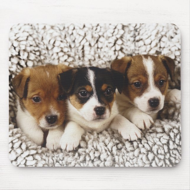 Litter of puppies mouse mat (Front)