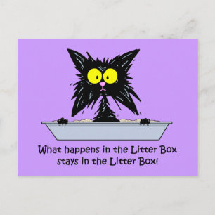 Litterbox Cat Postcard