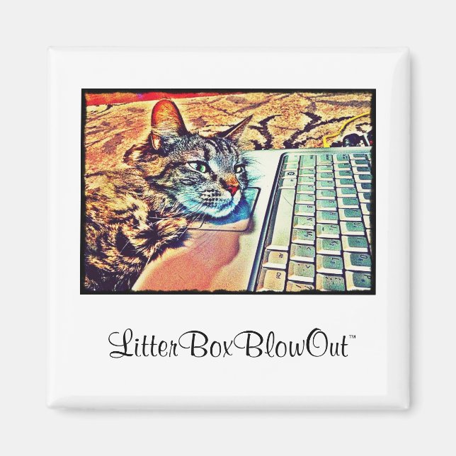 LitterBoxBlowOut Magnet (Front)