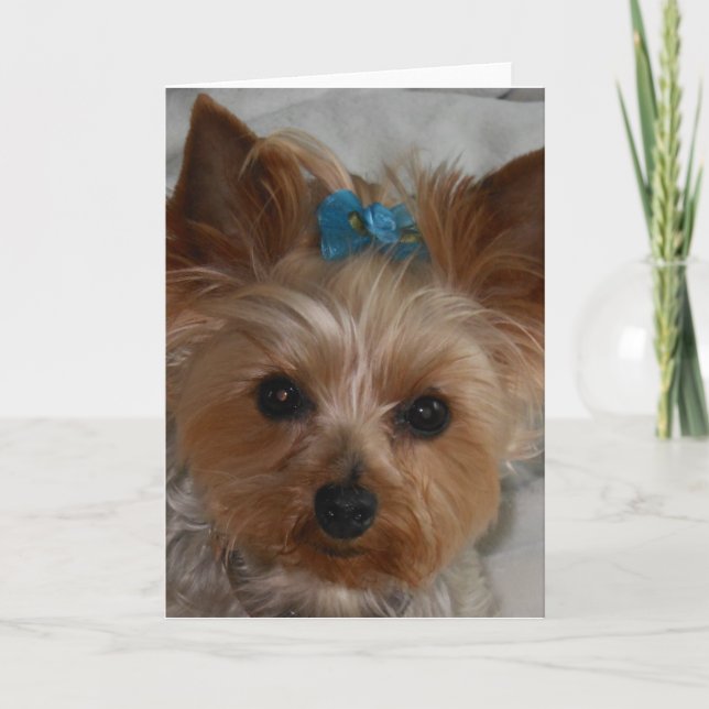 Little Ally Card (Front)