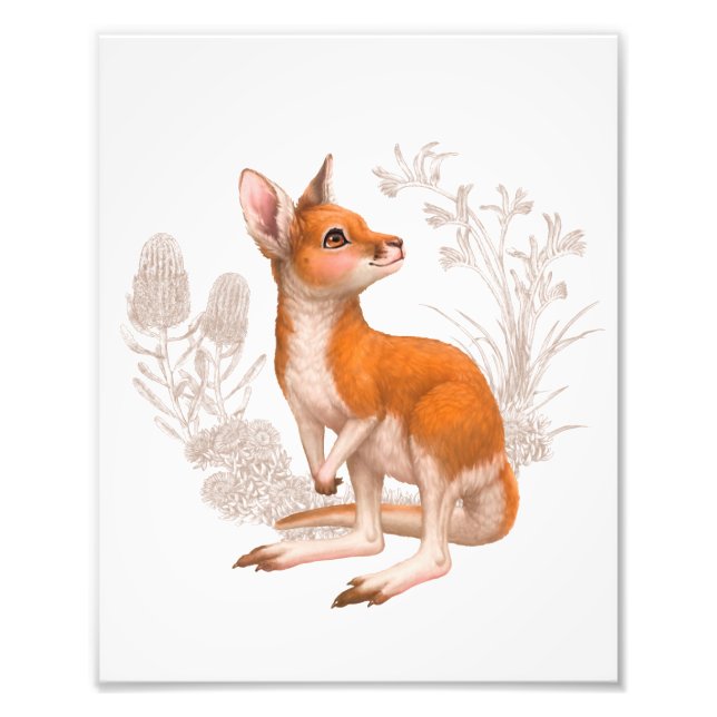 Little Aussie Friends - Kangaroo Photo Print (Front)