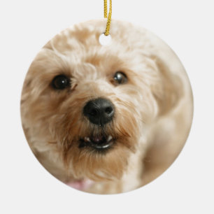 Little Awesome Abby the Yorkie Poo Ceramic Tree Decoration