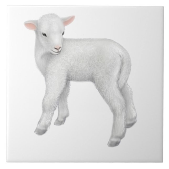 Little Baby Lamb Customisable Tile (Front)