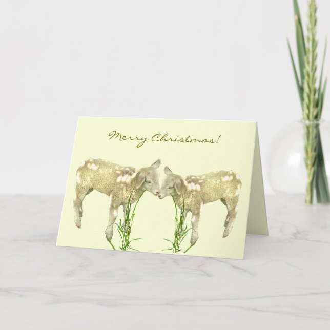 Little Baby Lambs on Yellow Christmas Card (Front)