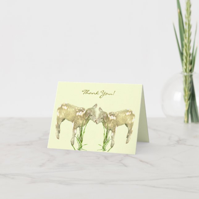 Little Baby Lambs on Yellow Thank You Card (Front)